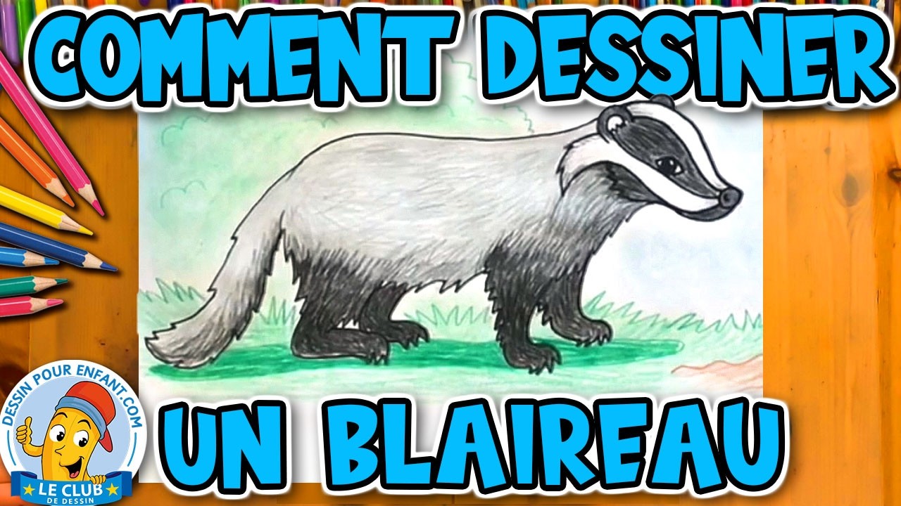 Apprendre à Dessiner un BLAIREAU