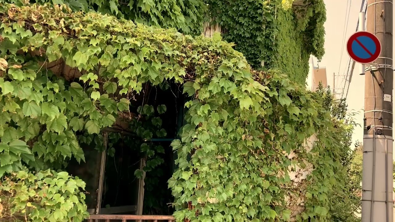 ［誰も知らない廃屋］喰われた家