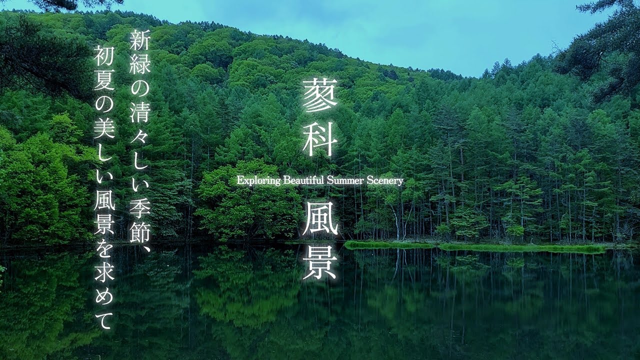 Exploring Beautiful Summer Scenery【初夏の蓼科】