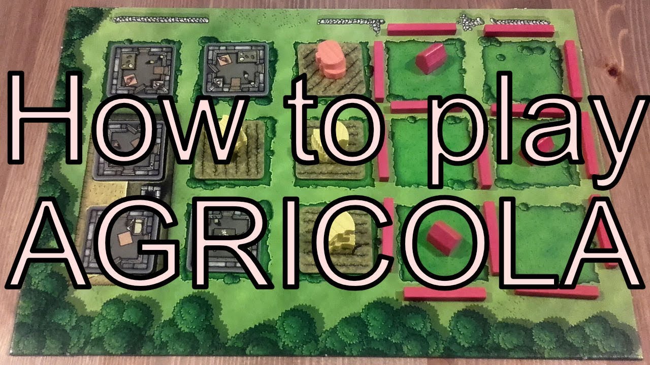 How to play Agricola in 3 minutes