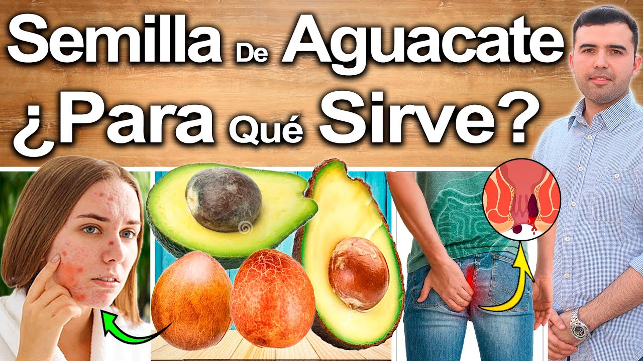 ¡REVELADO! SEMILLA DE AGUACATE ¿Para Qué Sirve? - Beneficios de La Semilla de Aguacate
