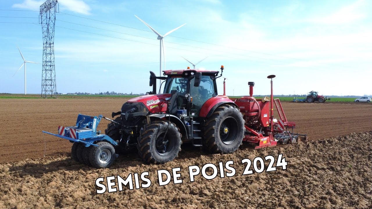 Semis de Pois 2024