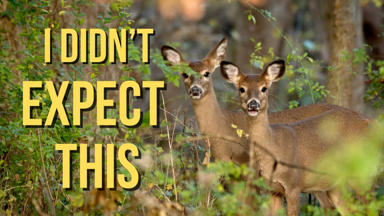 Secrets of Making the Most of Unexpected Photo Opportunities!