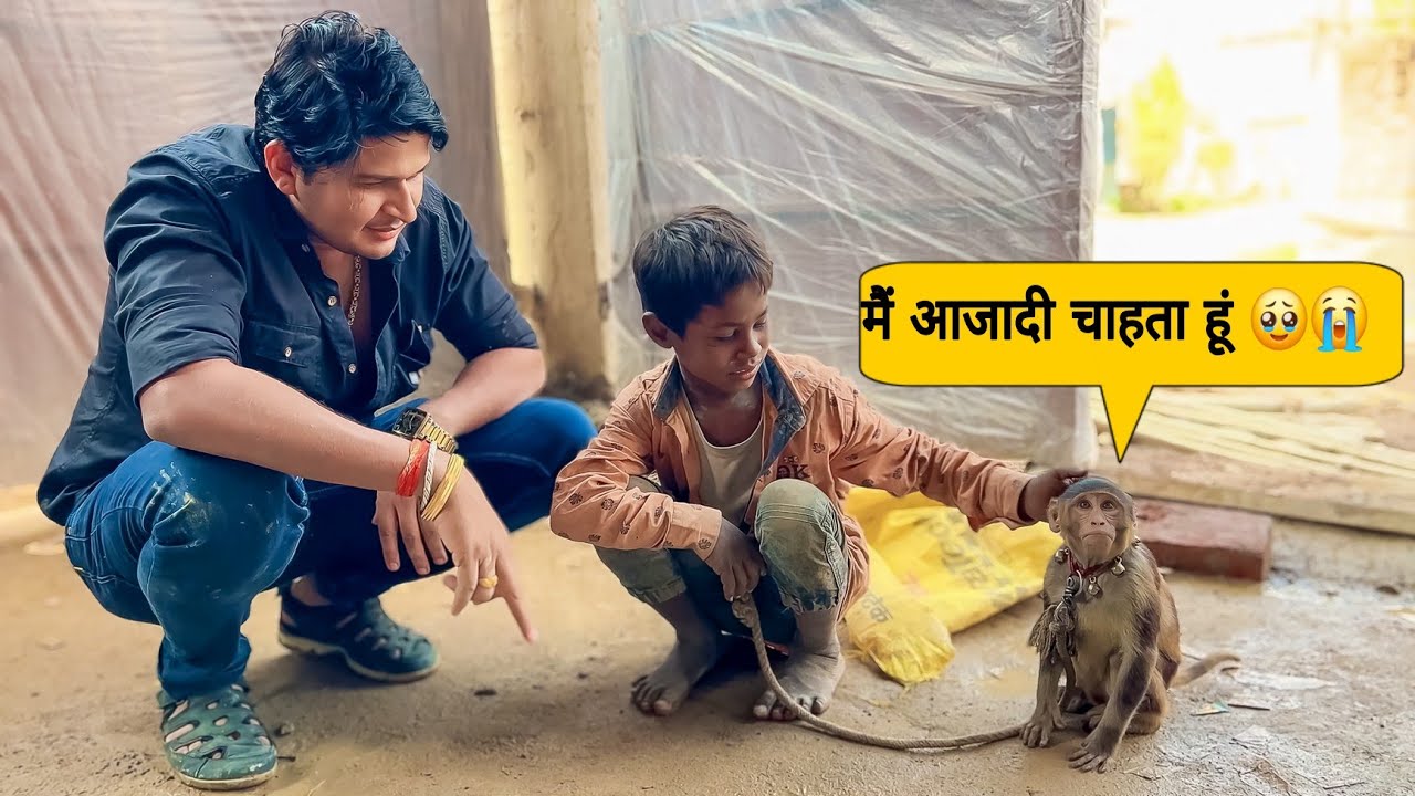Bandar ki khamoshi me uska Dard 🥹 // aaj se iska naya safar