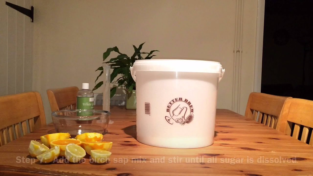 Homemade wine recipe:  Birch sap wine
