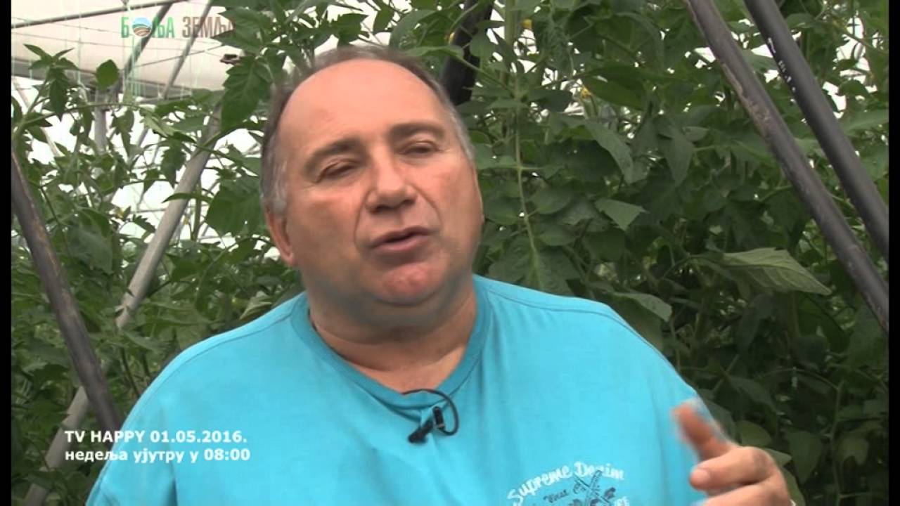 Fantastican povrtar i odlicni plastenici  - kako i sta  proizvoditi - noviteti
