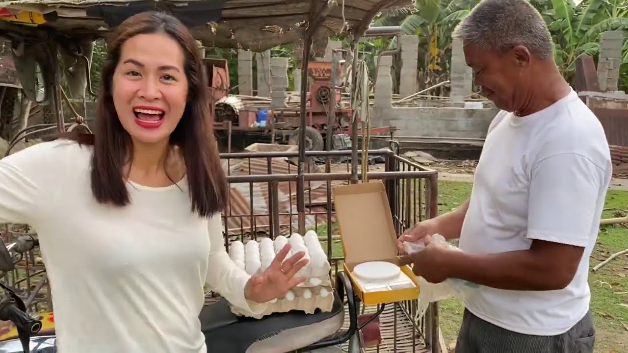 OFW business ideas + sustainable income (Backyard chicken layer Farm )