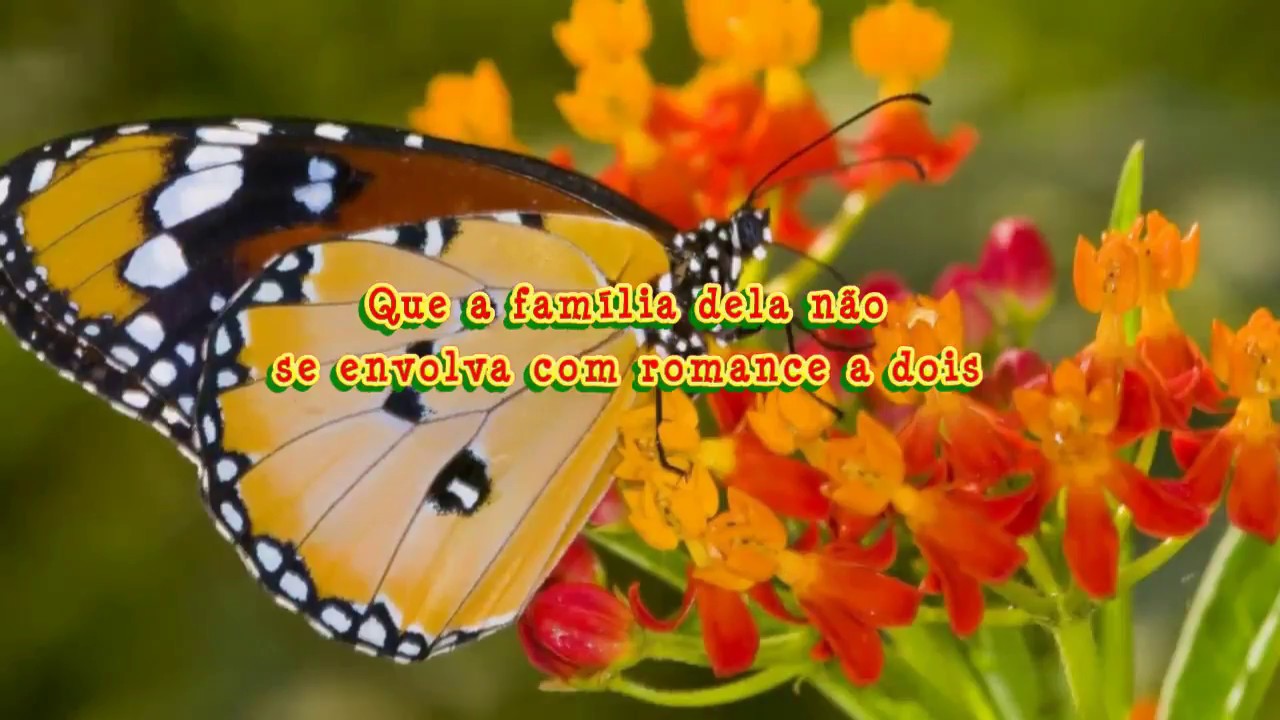 Romance à dois - Lima Neto - karaoke