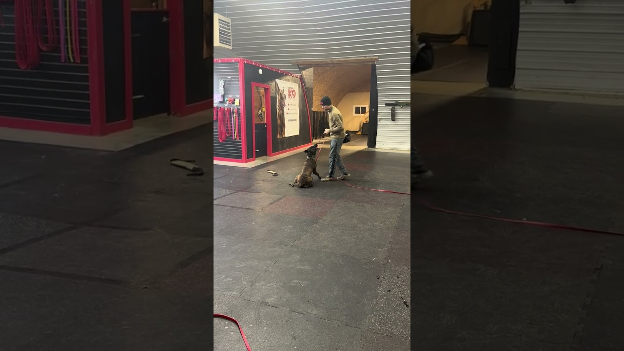 Remi: Out Commamd