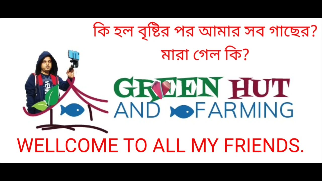 কি হল আমাদের বাগানের গাছের/মারাগেলো কি সব/WHAT HAPPENED OUR ROOFTOP GARDEN AFTER RAIN