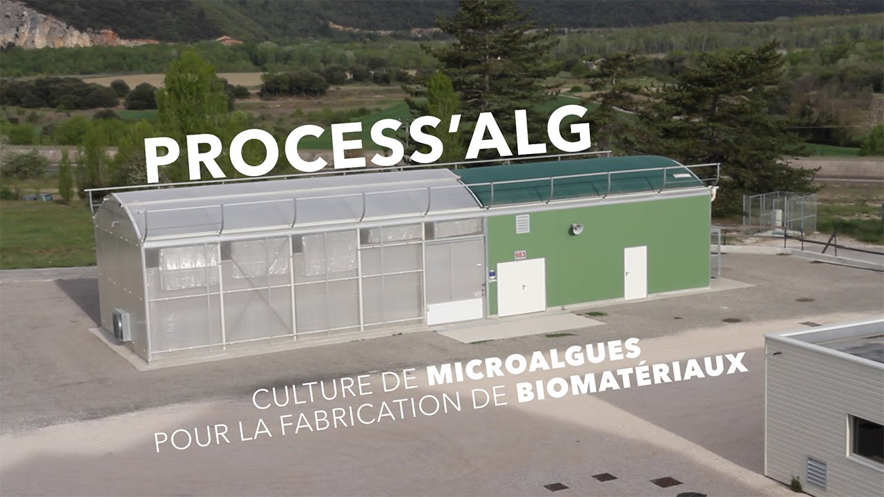 PROCESS'ALG : Culture de micro-algues pour la fabrication de biomatériaux