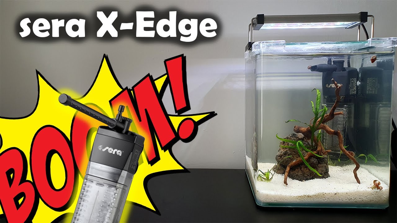sera X-Edge 300 - Unboxing und Installation (162)