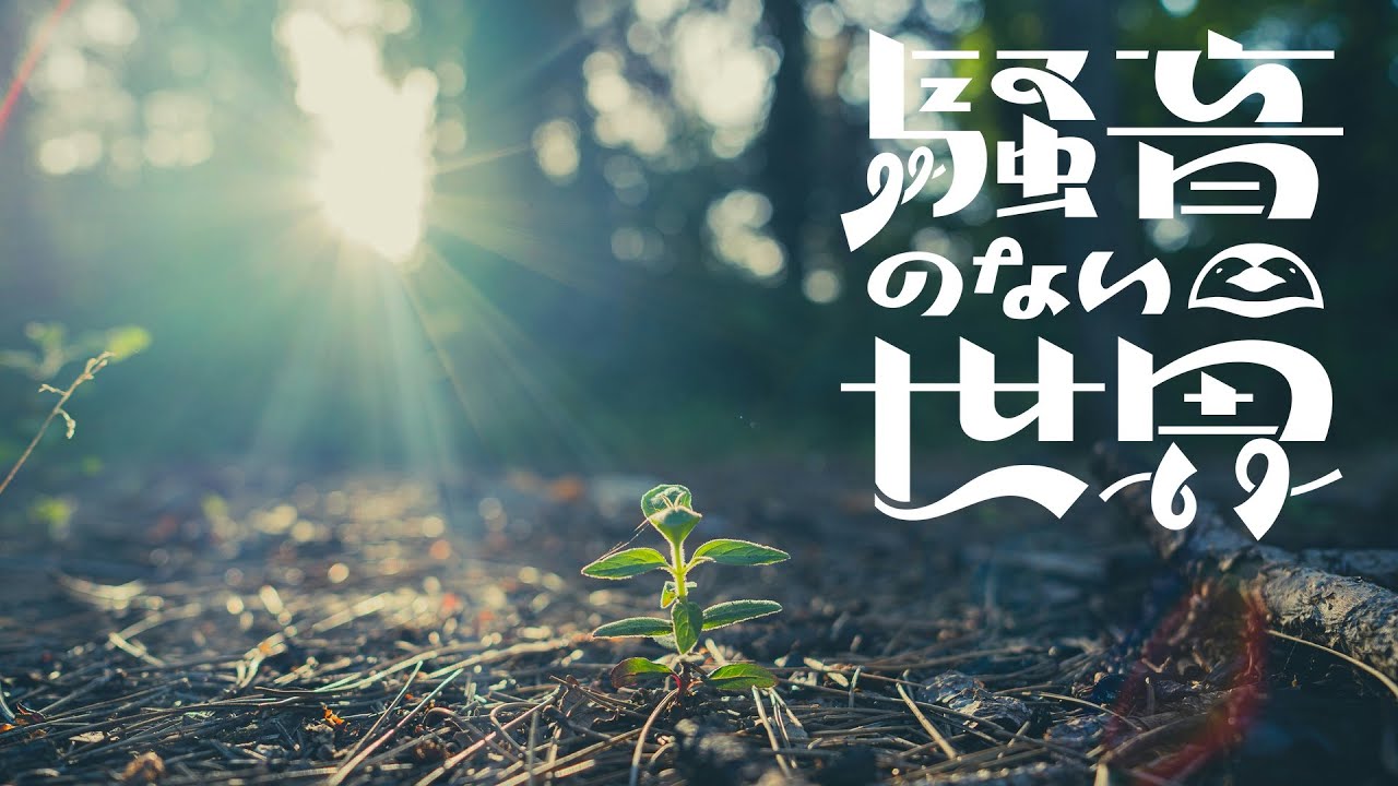 【Music】生命力 - 騒音のない世界