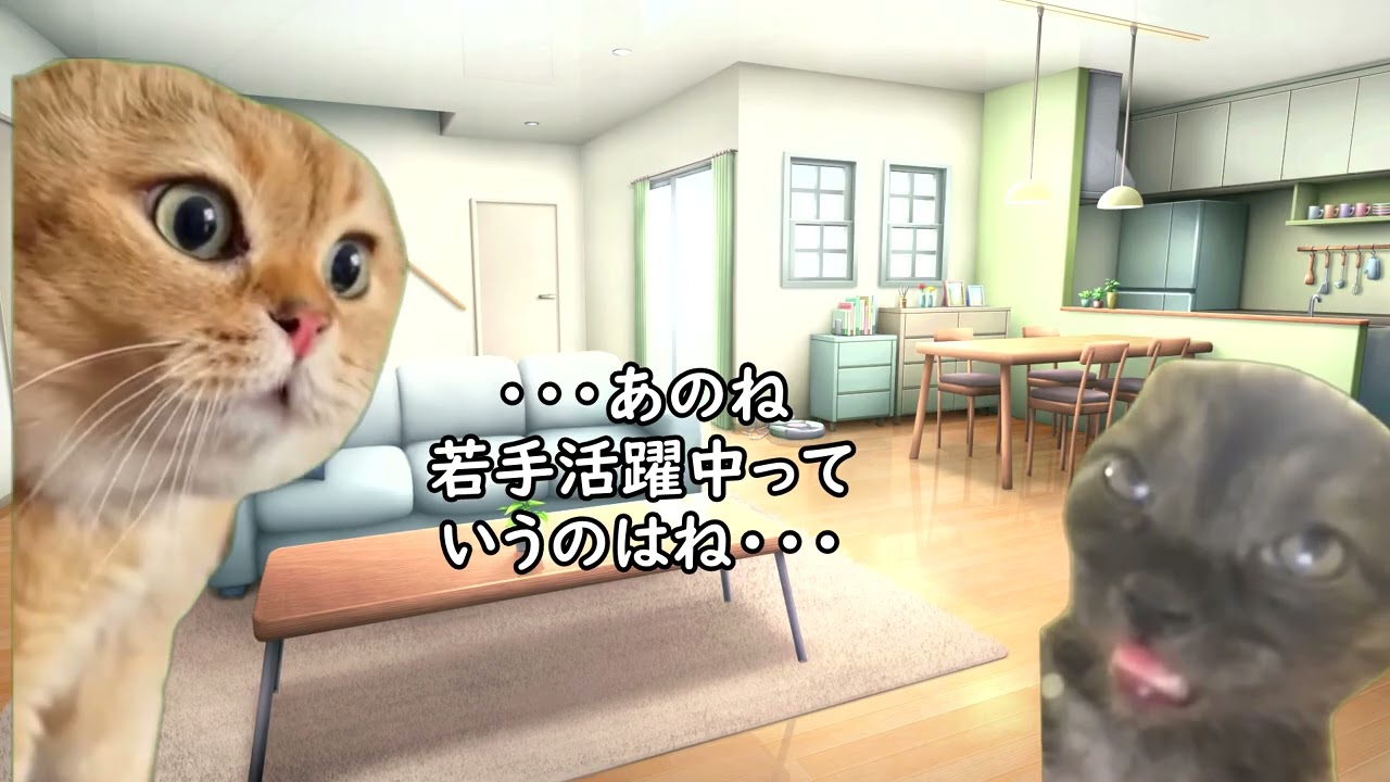 求人で信用してはいけない言葉【猫ミーム】
