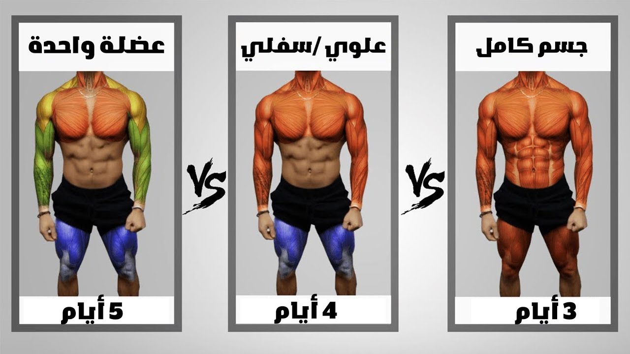 أفضل برنامج تدريبي لكمال الأجسام لبناء العضلات