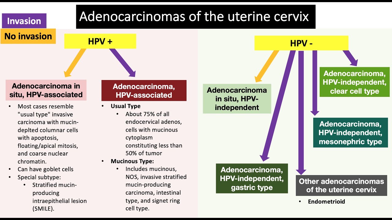 Endocervical Lesions
