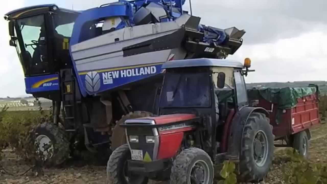New Holland BRAUD 9040L wine grape harvester picker