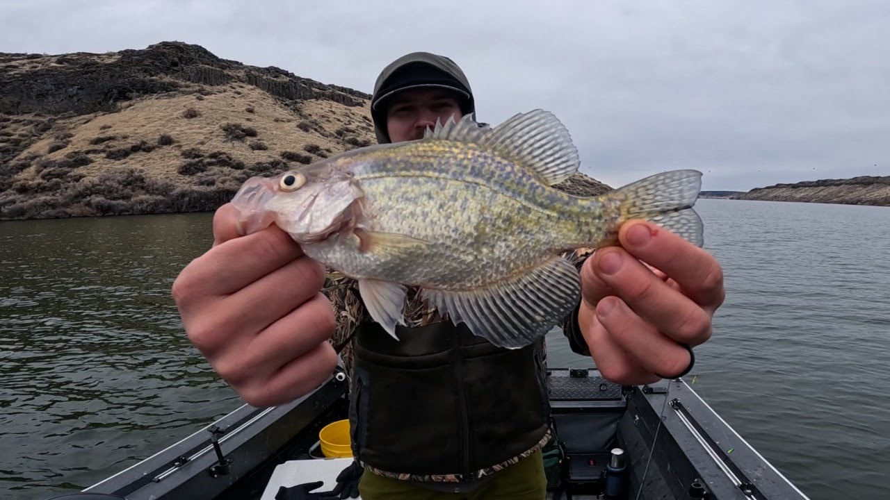 Winter Crappie Fishing from the Boat | Catch & Cook Fish Tacos