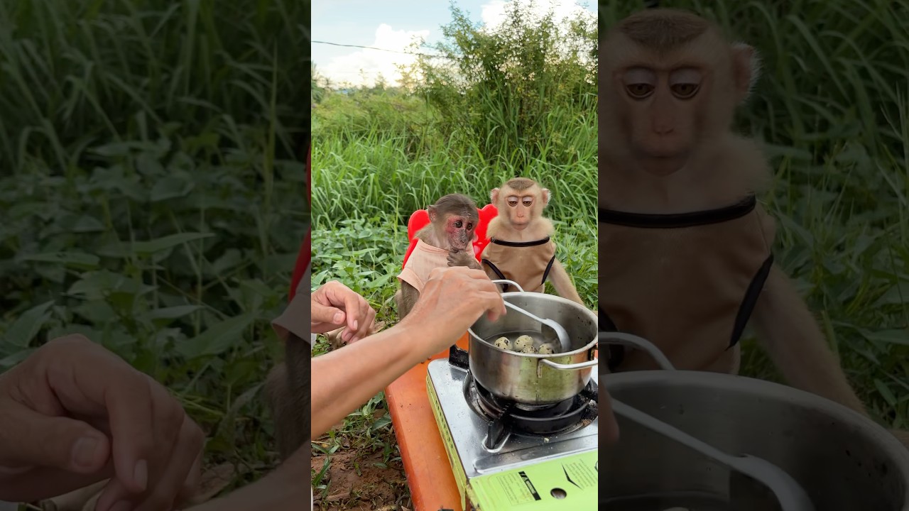 Peaceful countryside morning with mom cooking 🥰🍃