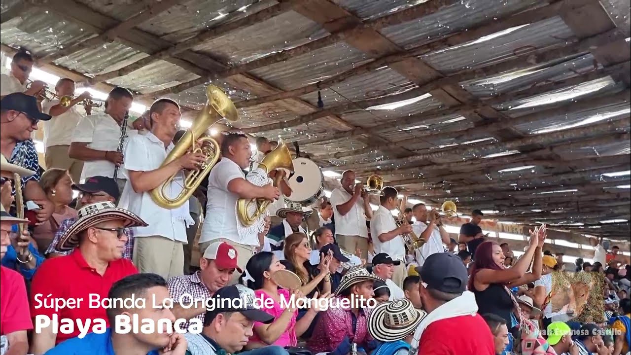 ✅🔥PLAYA BLANCA 🏖 - Súper Banda La Original de Manguelito