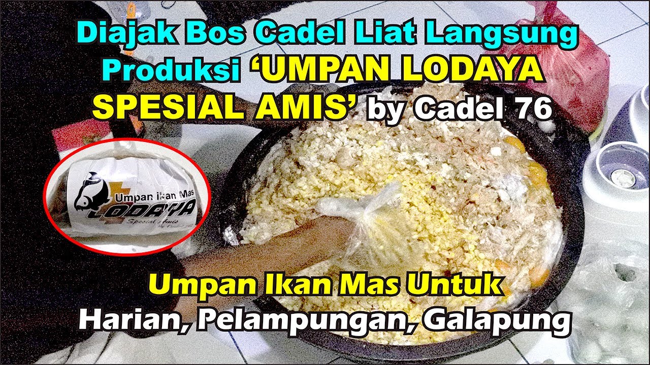 (Part 1) Ngintip Proses Pembuatan 'Umpan Lodaya Spesial Amis' Sebulan Terjual Ribuan Gendul