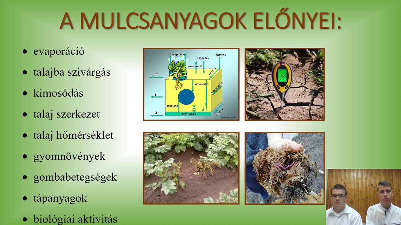 Kulcs a mulcs (Tarr L&aacute;szl&oacute; &eacute;s T&ouml;r&ouml;k B&aacute;lint előad&aacute;sa)