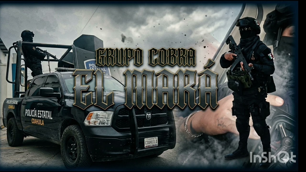 GRUPO COBRA (ELEMENTOS DE LA PEC)