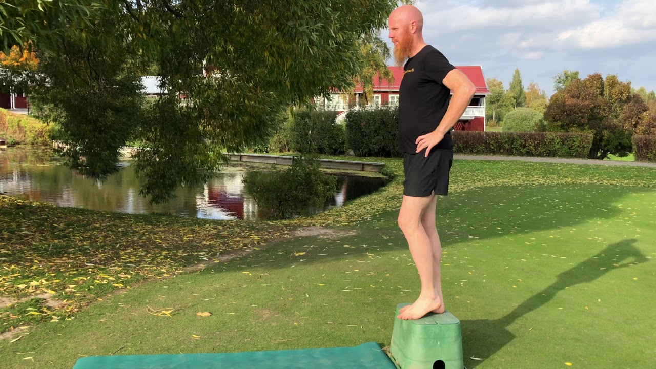 Step downs (Ingemars kn&auml;b&ouml;j)