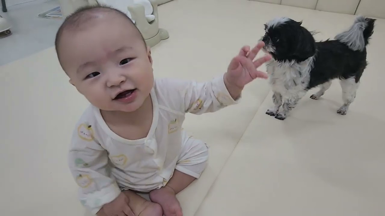 아기와 강아지의 아침 ☀️ 인형놀이 브이로그