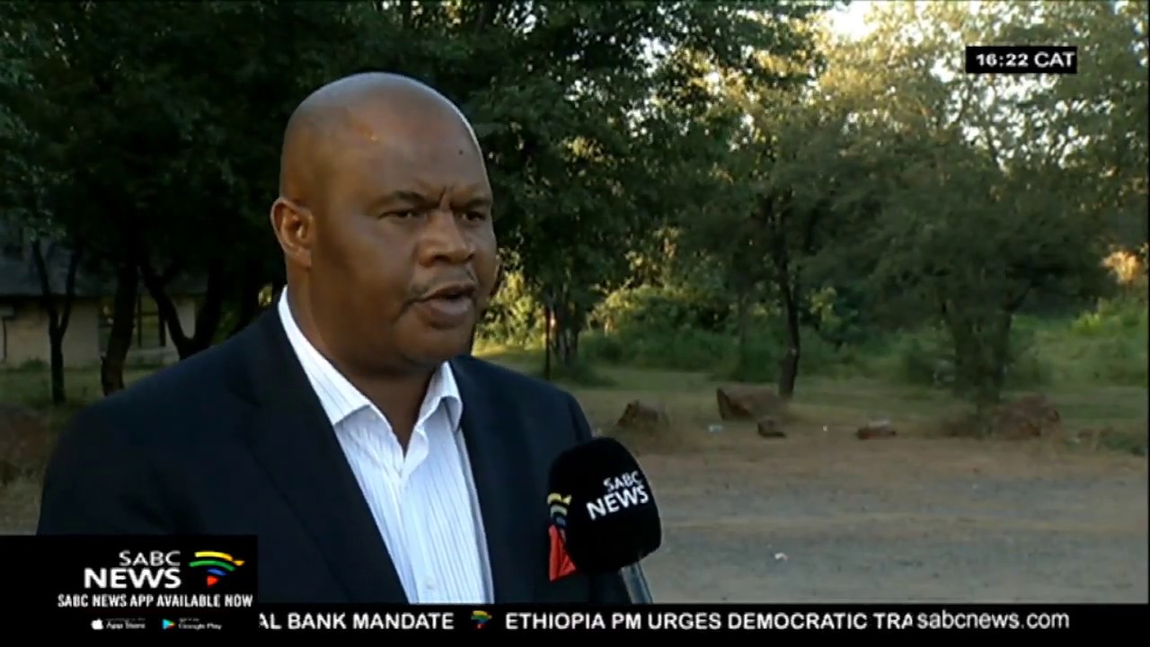 A pride of lions spotted near Phalaborwa
