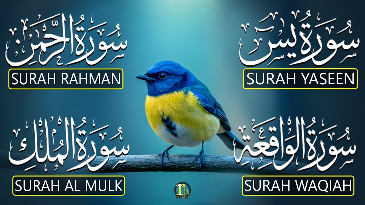 Heart Touching Quran Recitation That Moves The Soul | Surah Yasin Ar-Rahman Al-Waqiah Al-Mulk