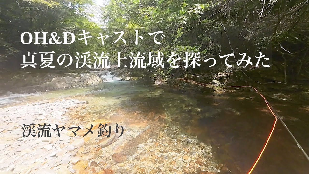 真夏の山岳渓流をOH&Dキャストで釣り上がり