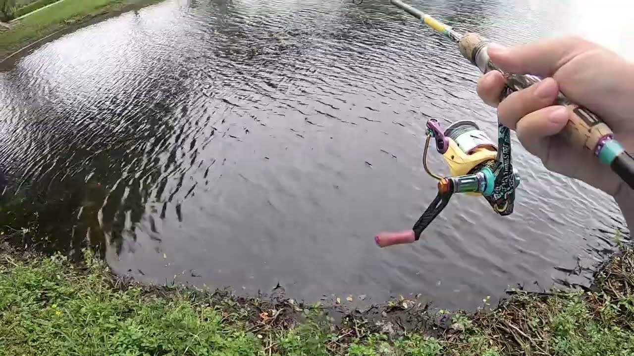 Baiting Bluegill with the Best Bait: Bread