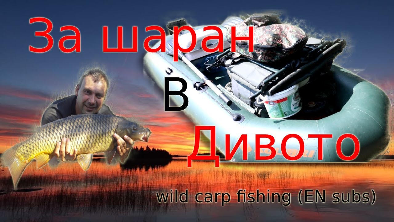 Риболов на шаран: на диво (2021)