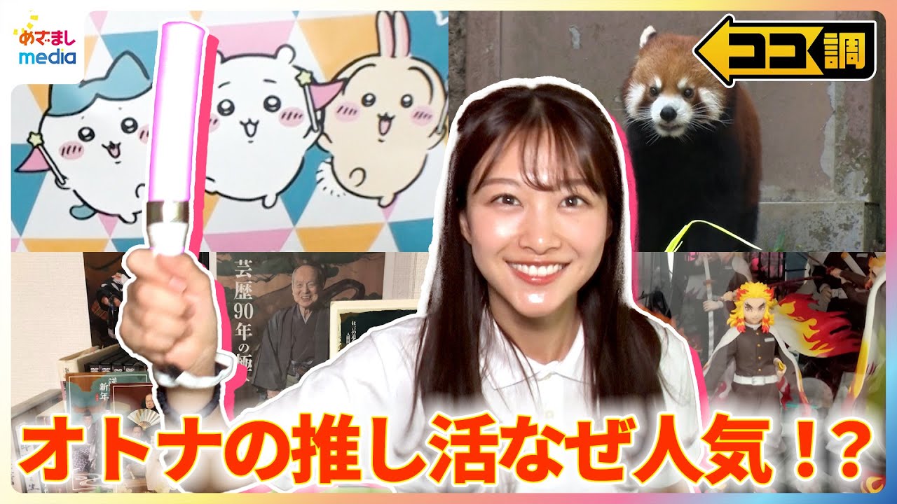 50代以上の女性2人に1人は“推し”がいる！？Snow Man 目黒蓮・ジェジュン・東京力車・華MEN組・ちいかわ・鬼滅の刃など全力応援「オトナの推し活」なにを楽しんでいる？【ココ調】