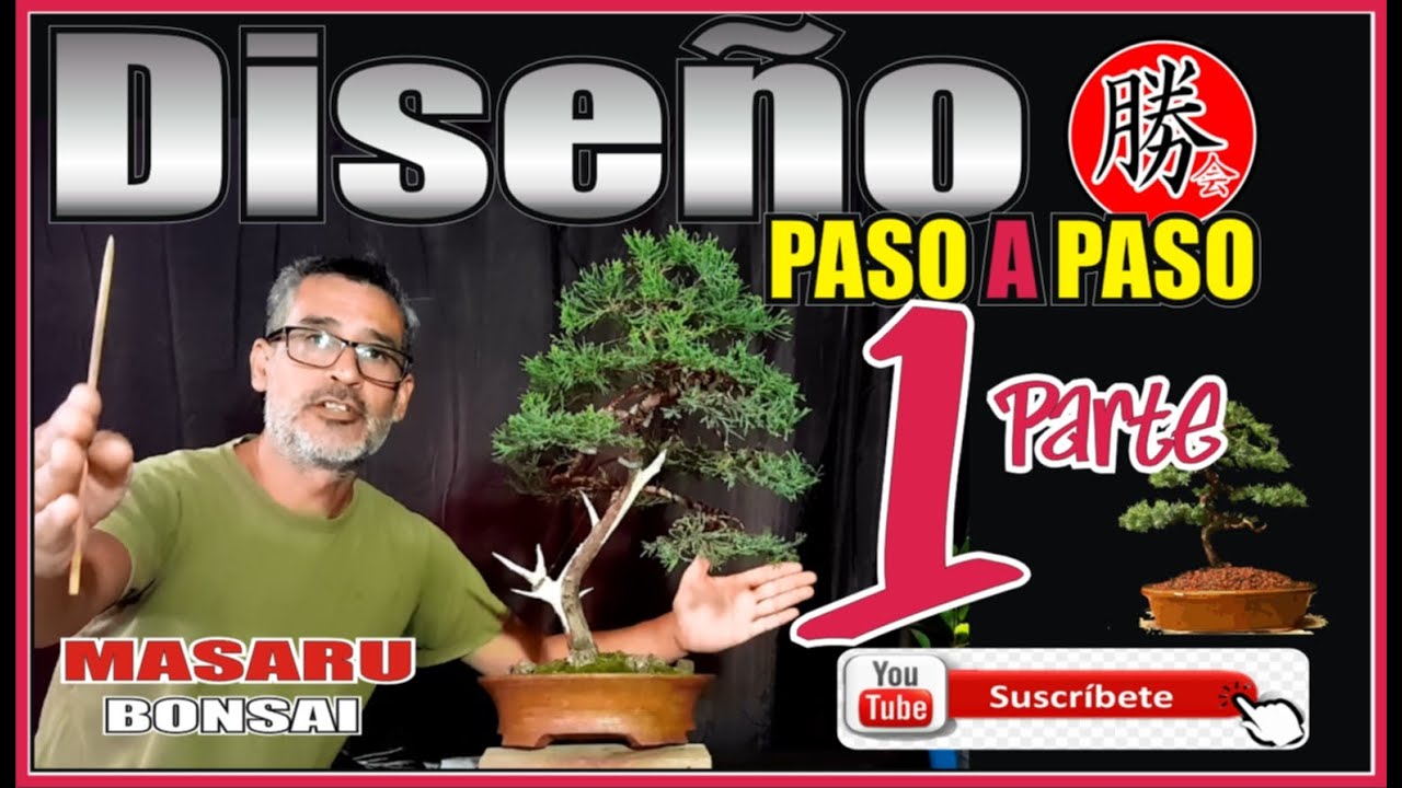 COMO DISEÑAR UN BONSAI PASO A PASO FÁCIL PARA APRENDER HACERLO SIN SECRETOS PARTE 1#