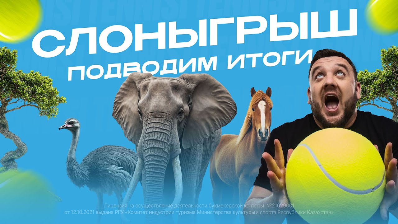 Величайший финал СЛОНЫГРЫША!