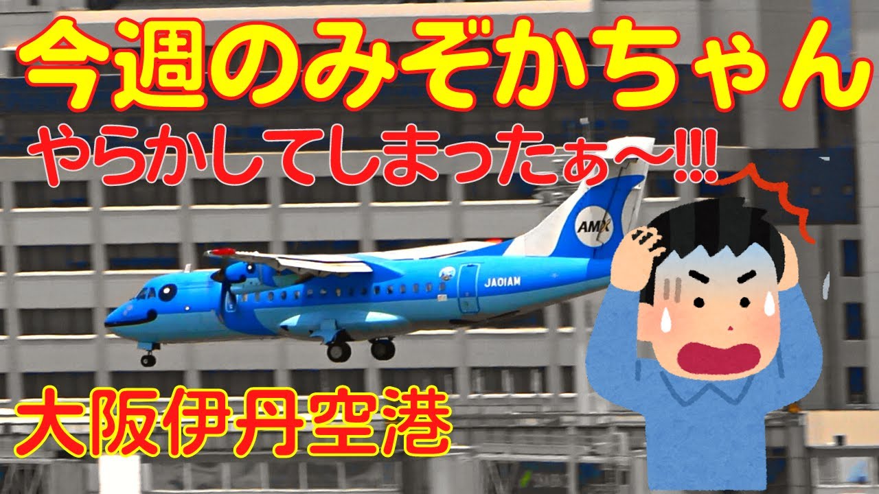 【大阪伊丹空港】今週のみぞかちゃん　2022.6.19　やらかしてしまった夏