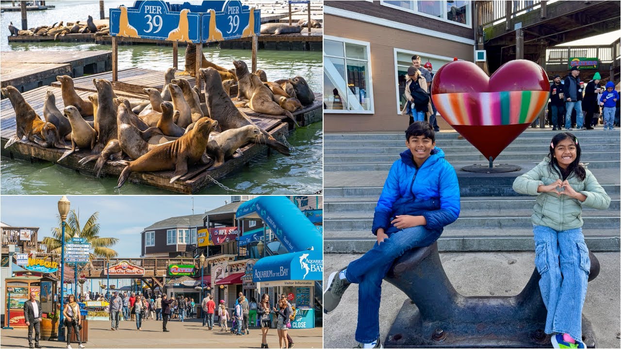 Holiday Season-এ সান ফ্রান্সিসকো শহরের আকর্ষণই আলাদা! 😍 | San Francisco City | Pier-39