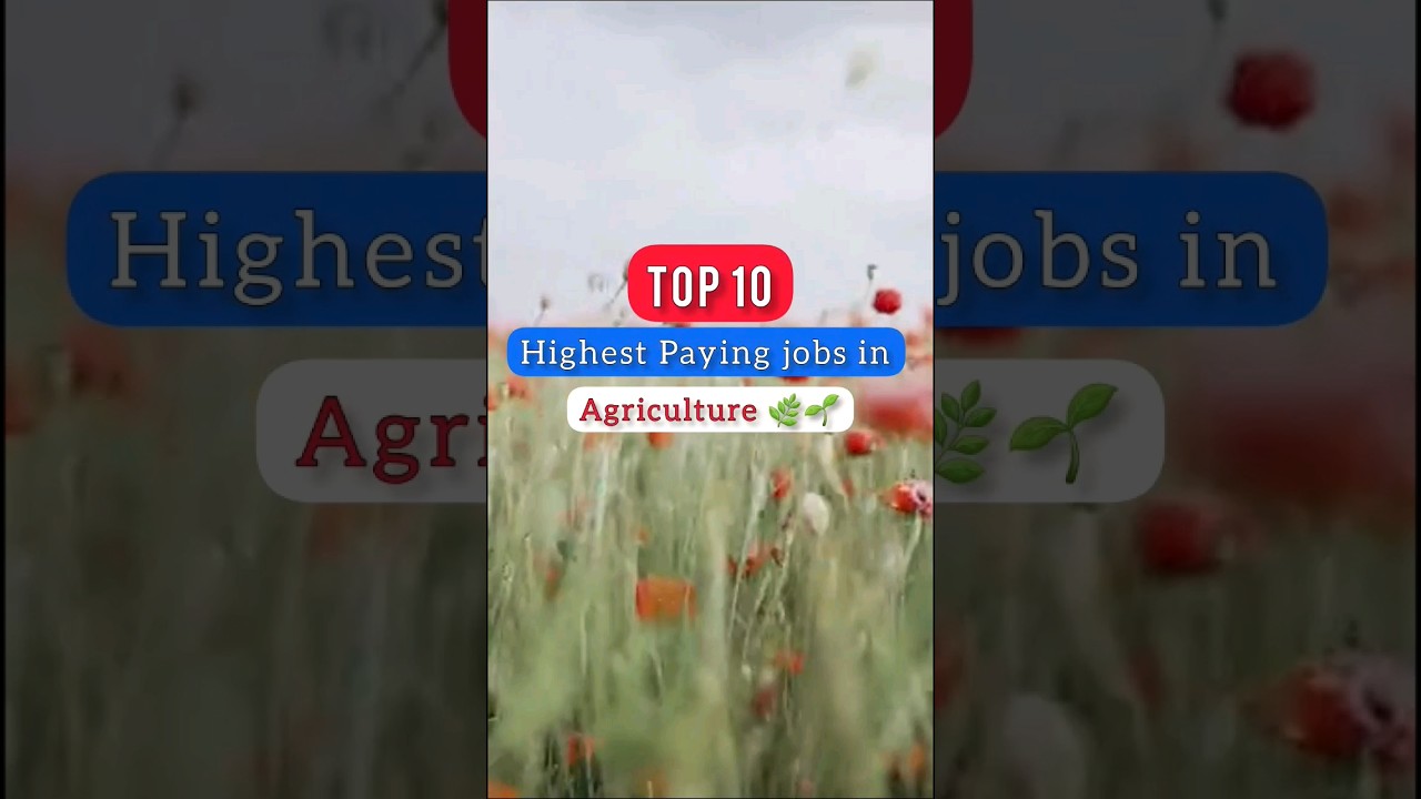 TOP 12 Highest Paying Jobs in Agriculture 🌱  #ytshorts #studentpage #shorts #agriculture