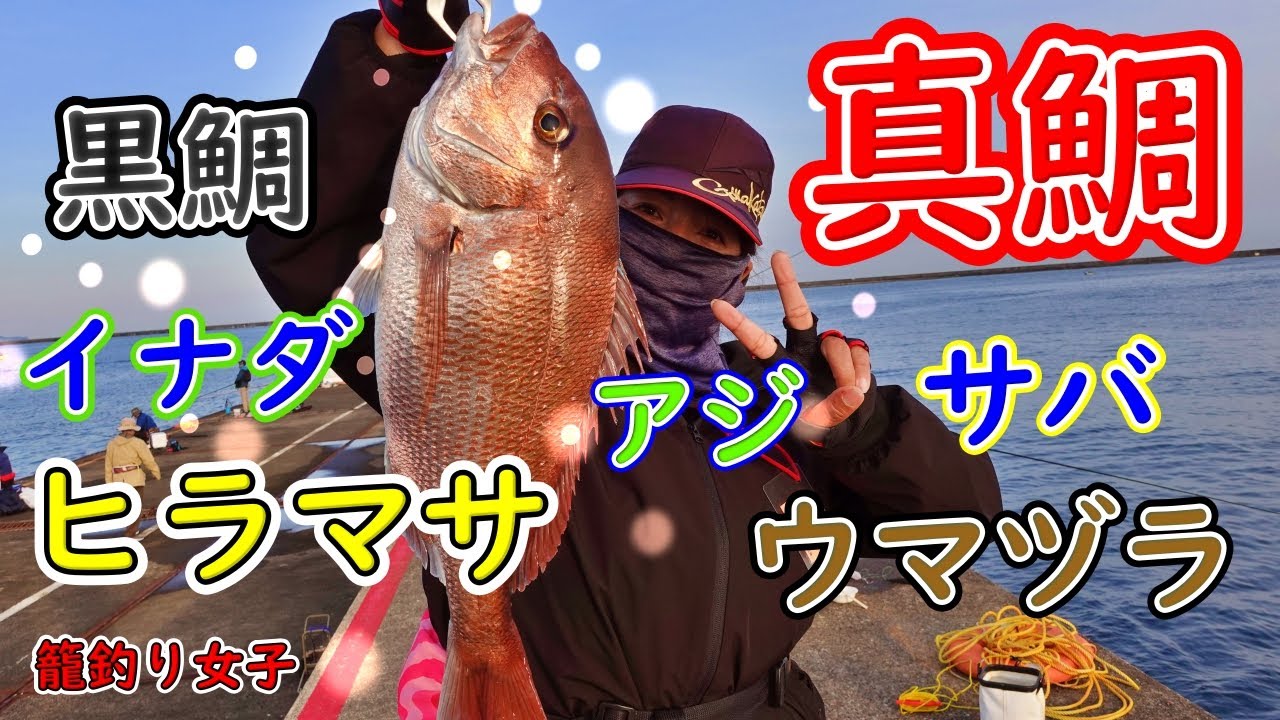 【ヤバすぎる】もしも、何でも釣れる堤防があったら？