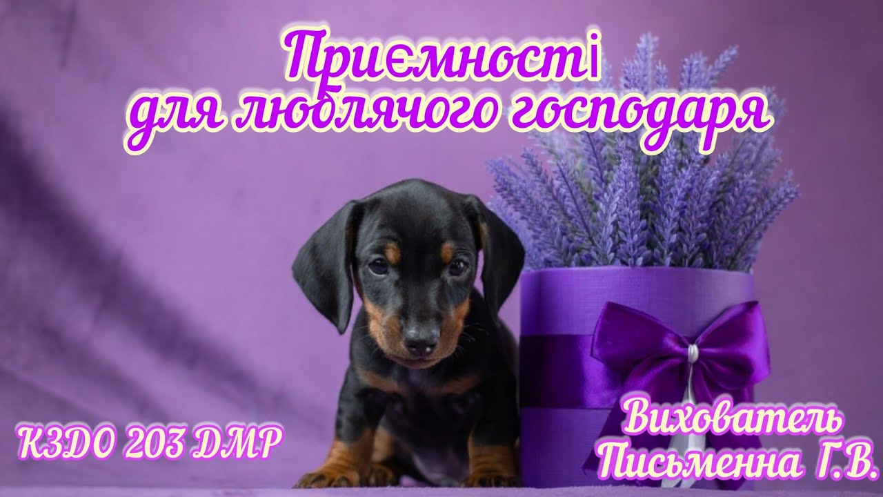 Приємності для люблячого господаря.🐶