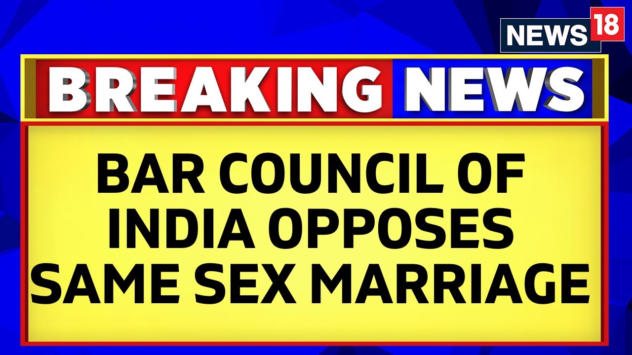 Same Sex Marriage Row |  Bar Council Of India Opposes Same Sex Marriage Legislation | English News