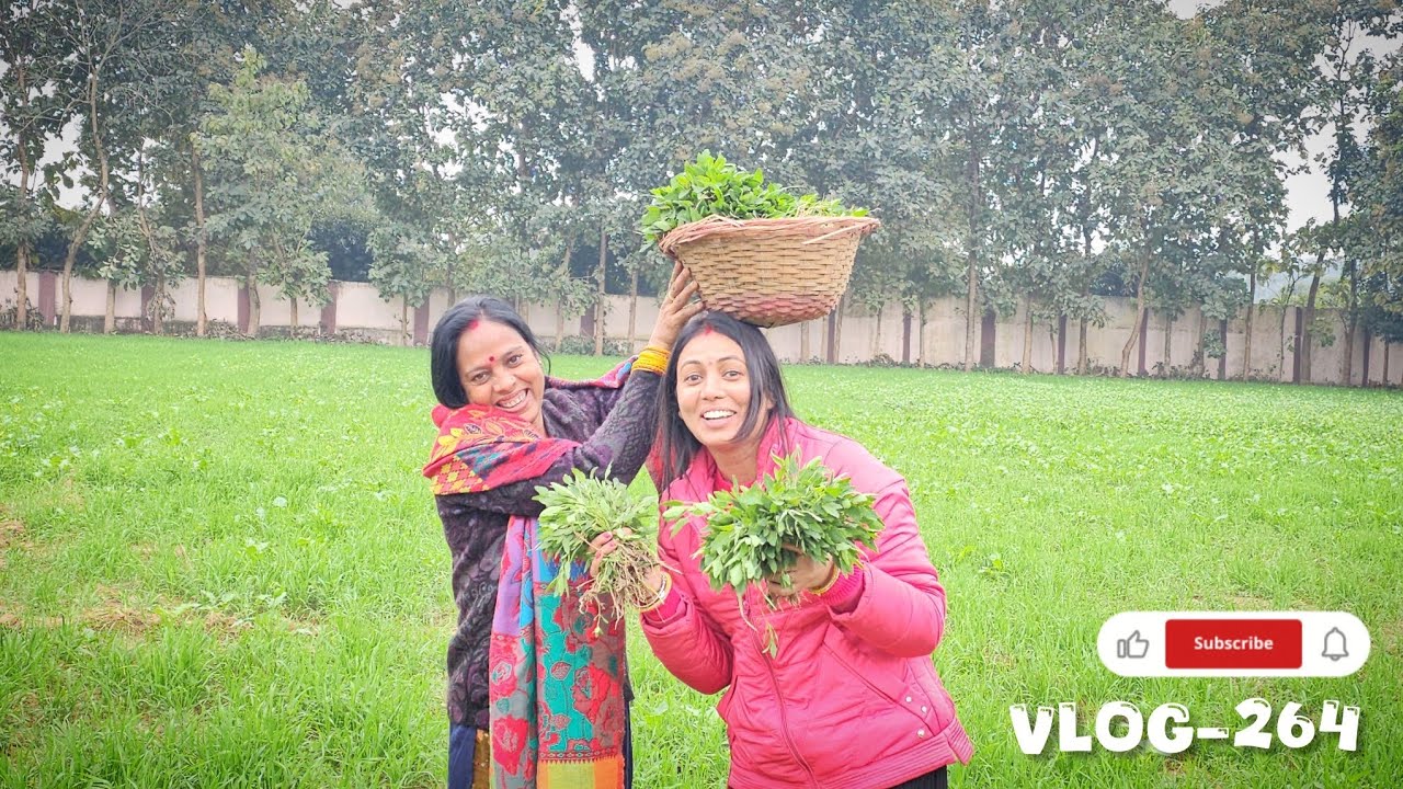 Vlog-264 नानी के घर की खेती 🌾|| Family time Quality time || #vlog || Bulbulbunny 