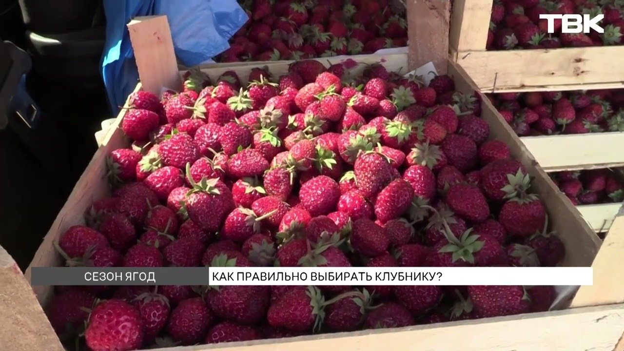 За сколько продают клубнику на улицах Красноярска?