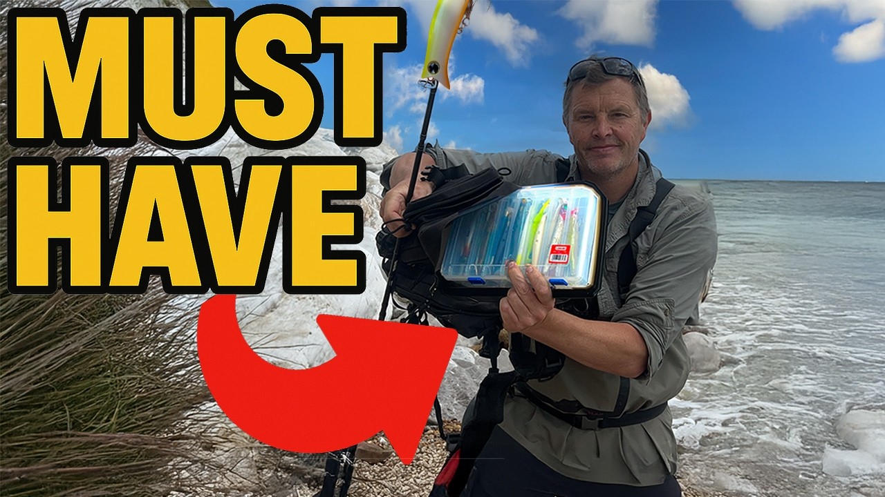 Essential Bass Lures for This Summer- Experienced Anglers Honest Choice