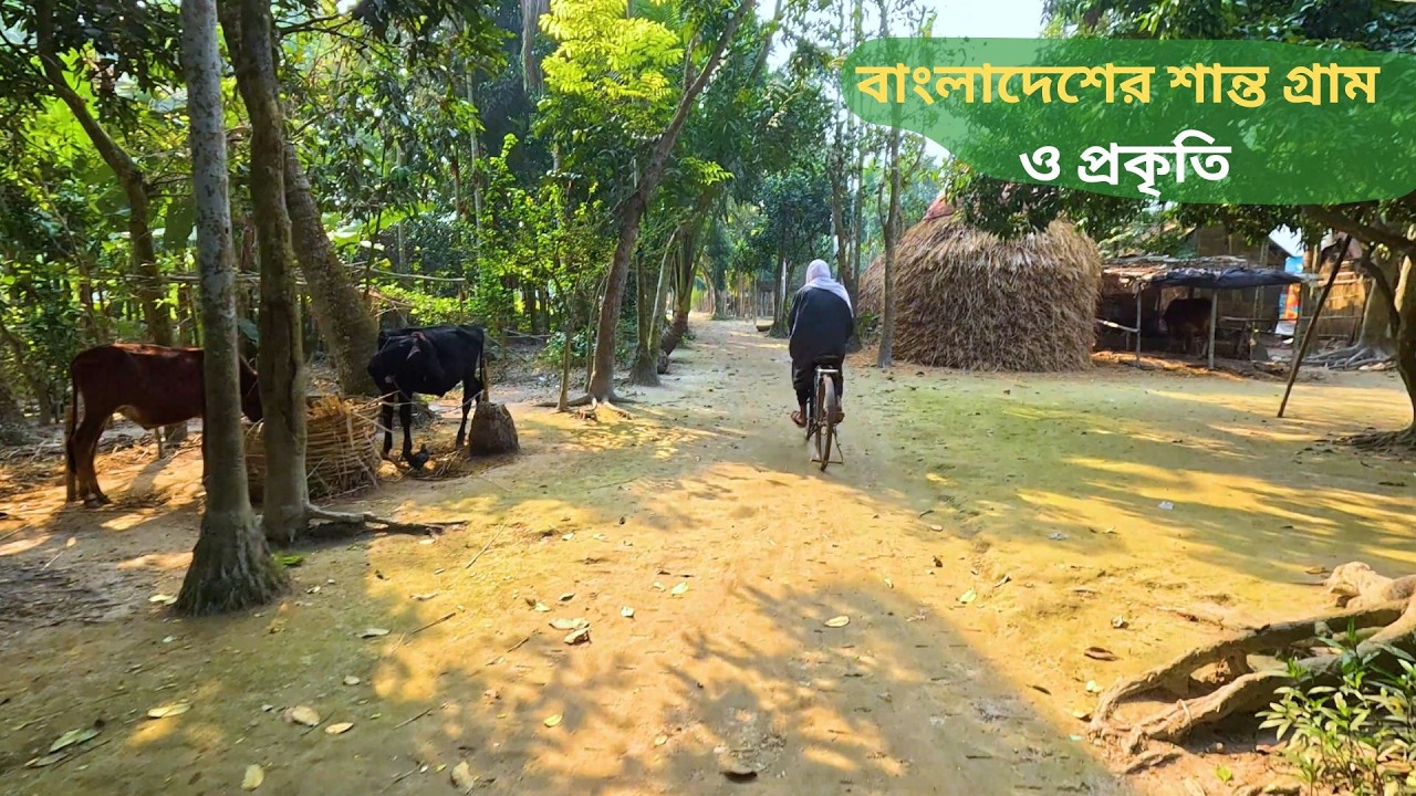বাংলাদেশের শান্ত গ্রাম ও প্রকৃতি | Rural Beauty of Bangladesh | Village Nature View