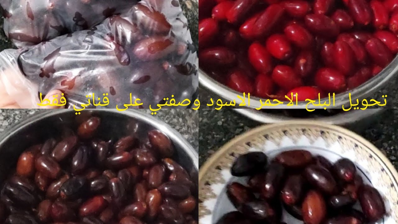 #طريقه# تحويل# البلح# الاحمر لاسود في #12 #ساعه بي معلقه موجوده في كل  #مطبخ بدون فريزر ولا مجهود#