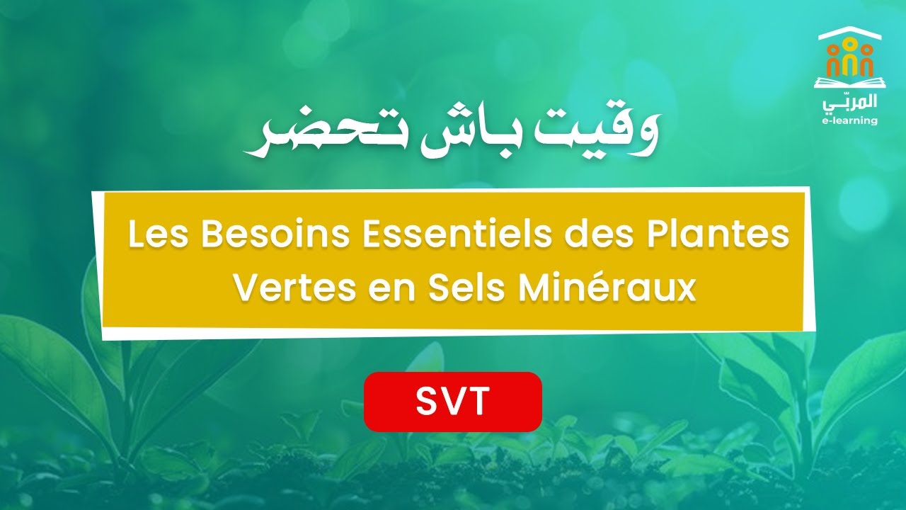 1&egrave;re Ann&eacute;e : Les Besoins Essentiels des Plantes Vertes en Sels Min&eacute;raux - Explication Simple