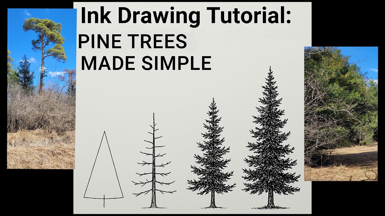 How to Draw Pine Trees | Drawing with Ink Pen | Step by Step examples - Part1